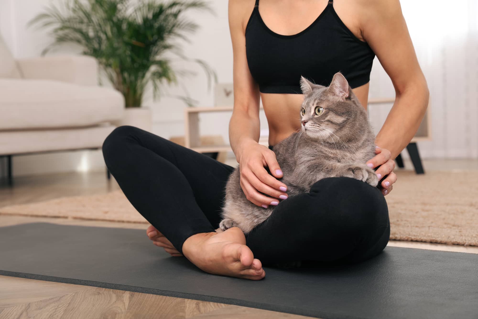 donna che fa yoga con il gatto