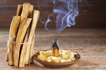 Il palo santo: storia, usanze e significato di un legno sacro